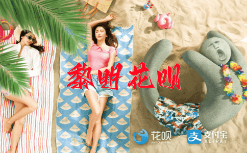 九牛二虎之力花呗